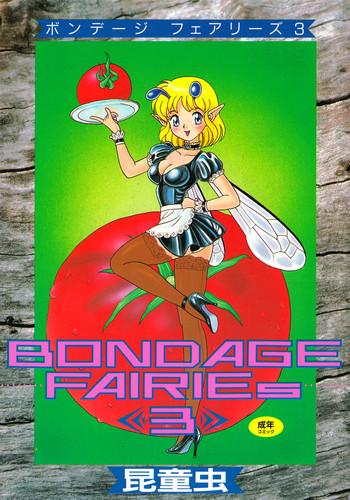 bondage fairies 3 cover