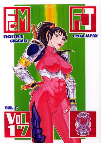 fighters gigamix vol 17 cover
