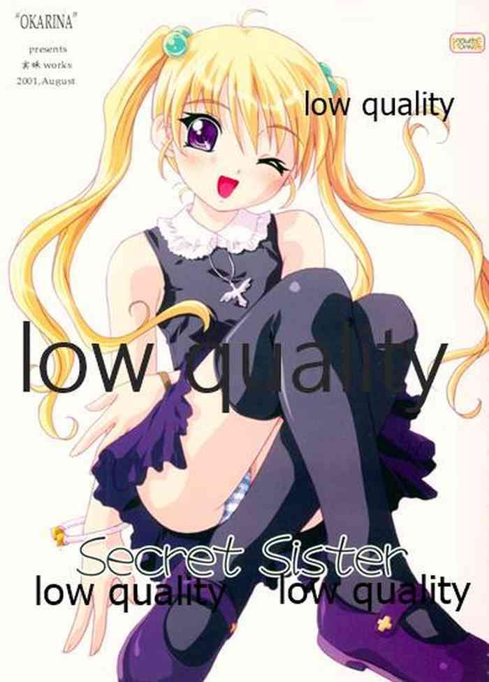 secret sister cover