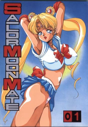 sailor moon mate vol 1 cover