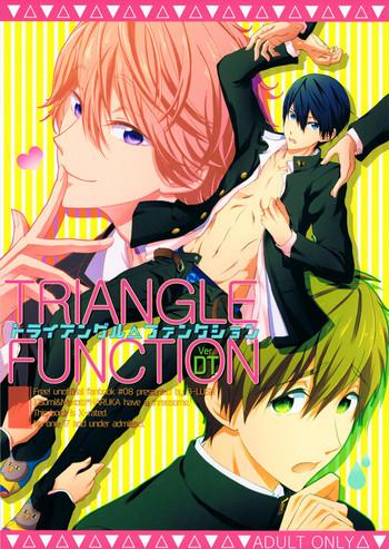 triangle function ver dt cover