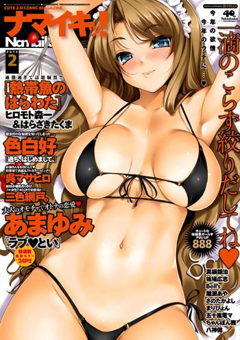 namaiki 2012 02 cover