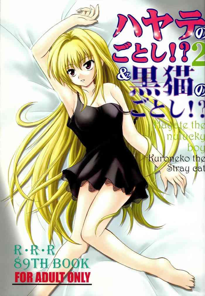 hayate no gotoshi 2 kuroneko no gotoshi cover