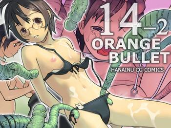 orange 14 2 cover