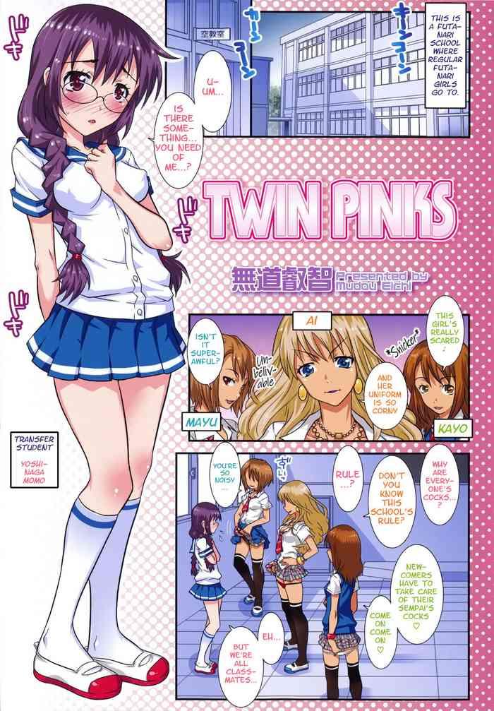 twin pinks cover