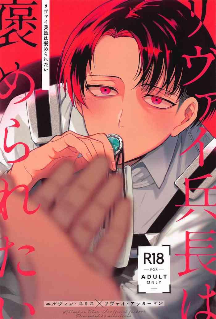 levi heichou wa homeraretai cover