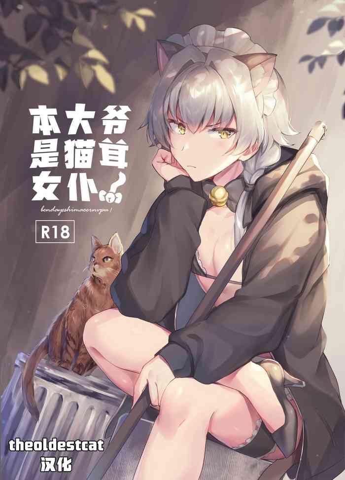 oresama nekomimi maid cover