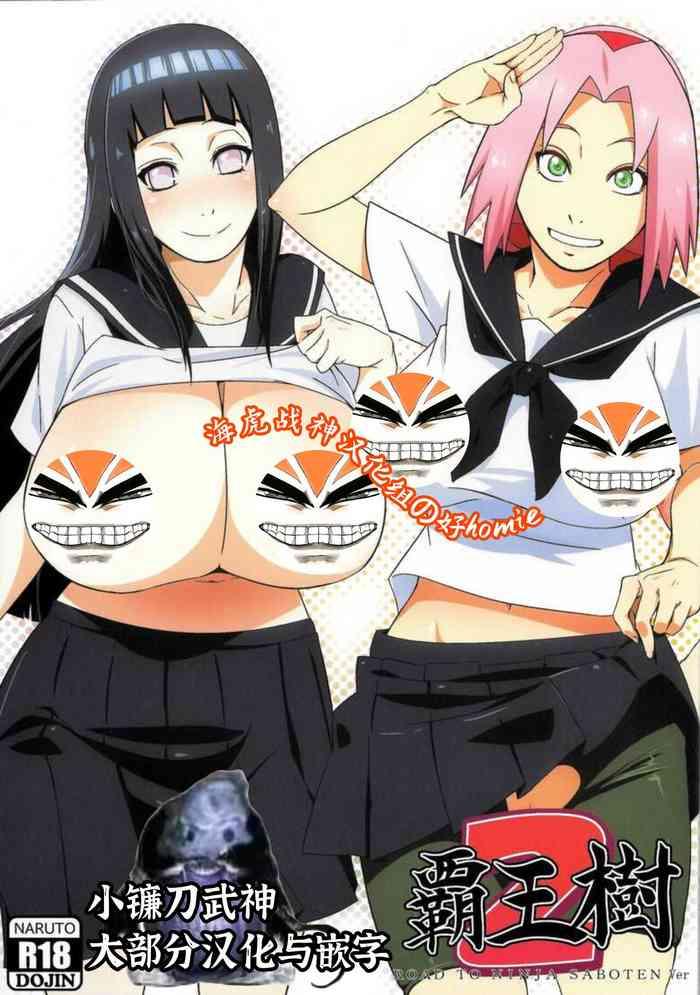 haouju 2 cover